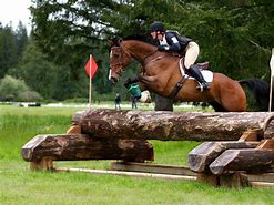 Image result for XC Horse Race