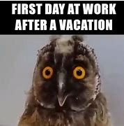 Image result for First Work Day of New Year Meme