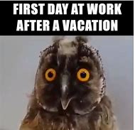 Image result for First Day of Year Work Meme