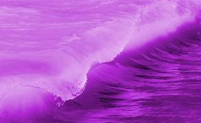Image result for Ocean Quahog Clam in Water