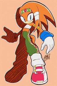 Image result for Sonic Riders Tikal