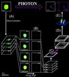 Image result for Nanometre