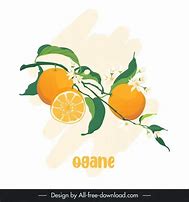 Image result for Orange Fruit Design