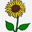 Image result for Pink Sunflower Clip Art