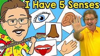 Image result for Five Senses of Human Body