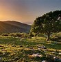 Image result for 4K Nature Wallpaper Collection