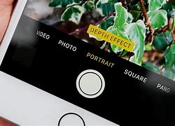 Image result for iPhone 7 Plus Camera Portrait Mode