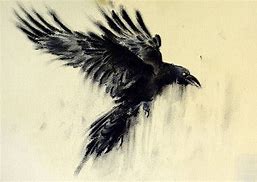 Image result for Search for a Drawing of a Raven