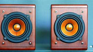 Image result for Wood Cone Speakers