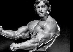Image result for Different Bodybuilding Poses