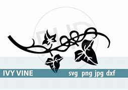 Image result for Vine SVG Free