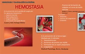 Image result for hemostasia