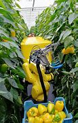 Image result for Crop Harvesting Robots