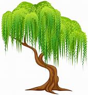 Image result for Willow Tree Drawing Clip Art