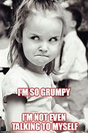 Image result for Grumpy Husky Meme