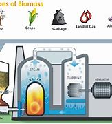 Image result for Biomass Energy Process Diagram