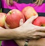 Image result for Honeycrisp