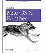 Image result for Mac OS X Panther