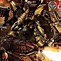 Image result for Heavy Gear Mechs
