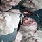 Image result for Teal Floral Wallpaper