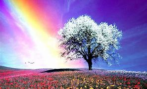 Image result for Natural Rainbow Colors
