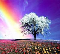 Image result for Rainbow Color Nature