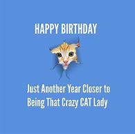 Image result for Happy Birthday Crazy Cat Lady