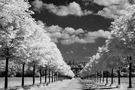 Image result for Black and White Laptop Wallpaper