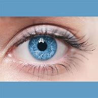 Image result for Sapphire Blue Transition Lenses