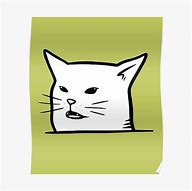 Image result for White Cat Meme