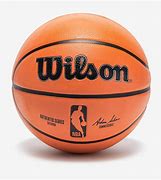 Image result for Wilson NBA Indoor Basketball