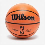 Image result for Wilson Basketball NBA New Design