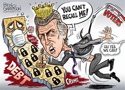 Image result for Gavin Newsom Cartoon