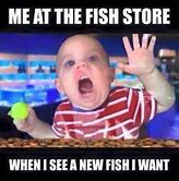 Image result for Coral Reef Memes