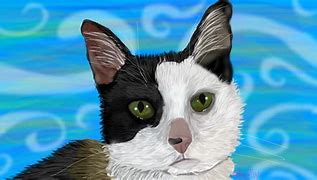 Image result for Meow Writeing Pic