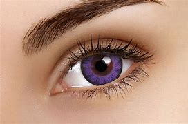 Image result for Violet Contact Lenses