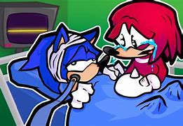 Image result for Knuckles Sonic in Hispital