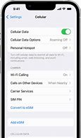 Image result for Cellular Data Switching iPhone