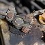 Image result for Corroded Battery Terminal Images