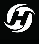 Image result for Holy Stone Logo