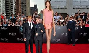 Image result for How Big Is 4 Foot Person