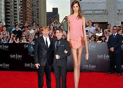 Image result for How Big Is 4 Foot