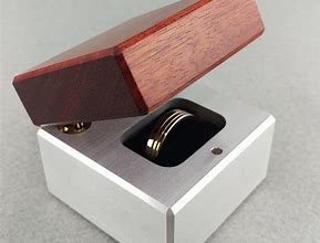 Image result for Figment Ring Box