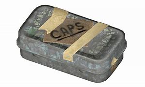 Image result for Fallout 4 Case