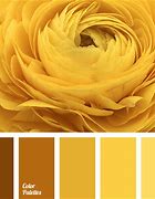 Image result for iPhone 5S All Colors