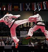 Image result for Most Dangerous Martial Arts in the World