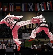 Image result for Deadliest Style Martial Arts