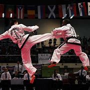 Image result for Deadliest Martial Arts Move in the World