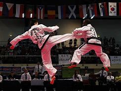 Image result for Deadly Martial Arts