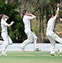 Image result for Cricket Taking Run